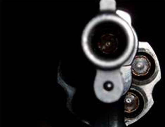 Eurispes: 10 milioni di armi legali in Italia - Armi e Tiro