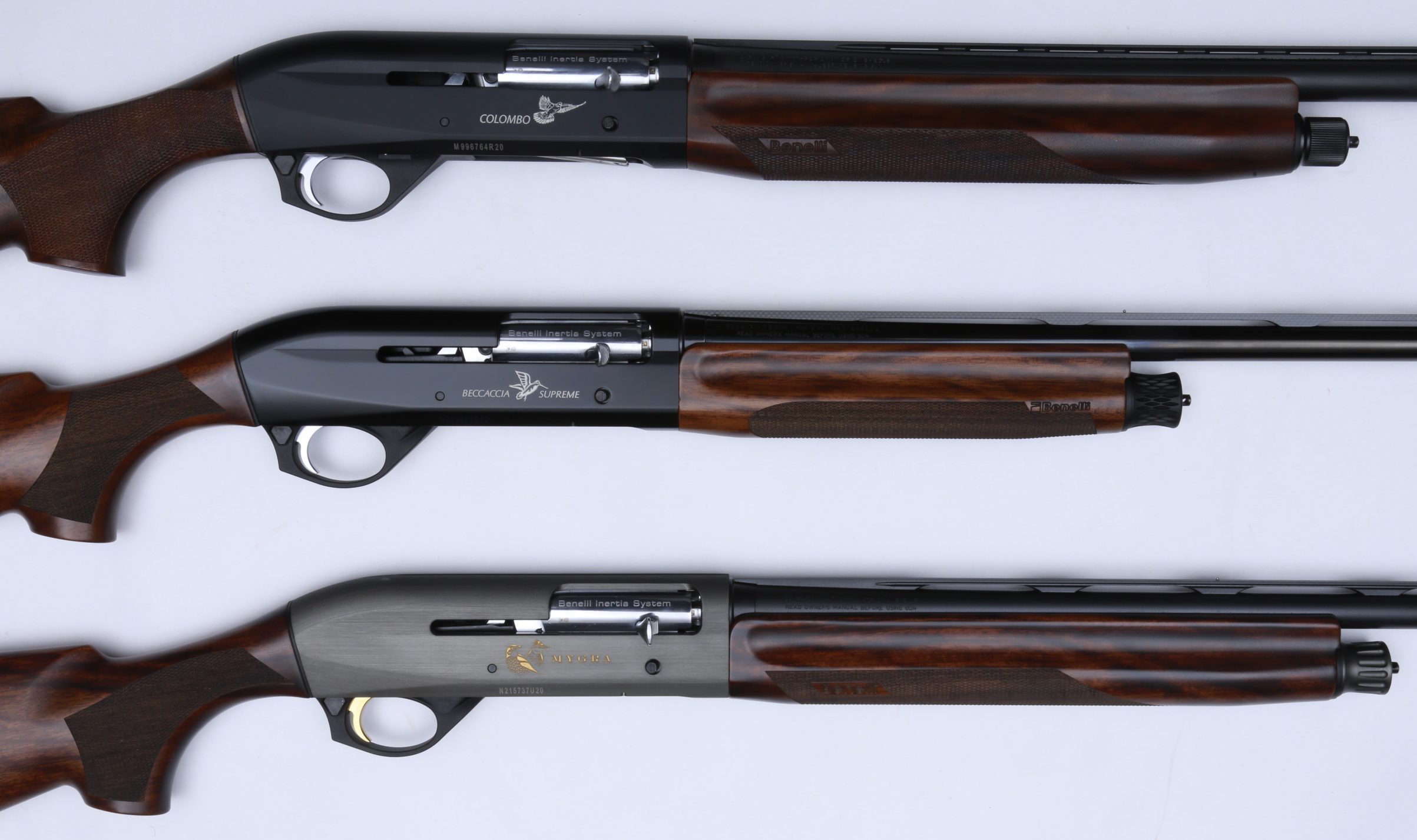 Benelli Montefeltro specialisti