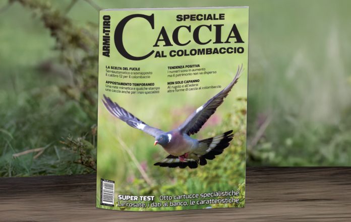 Caccia_al_colombaccio_WEB