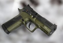 Arma Zeka Az-P1 Vigil: una compatta di lusso per il tiro action