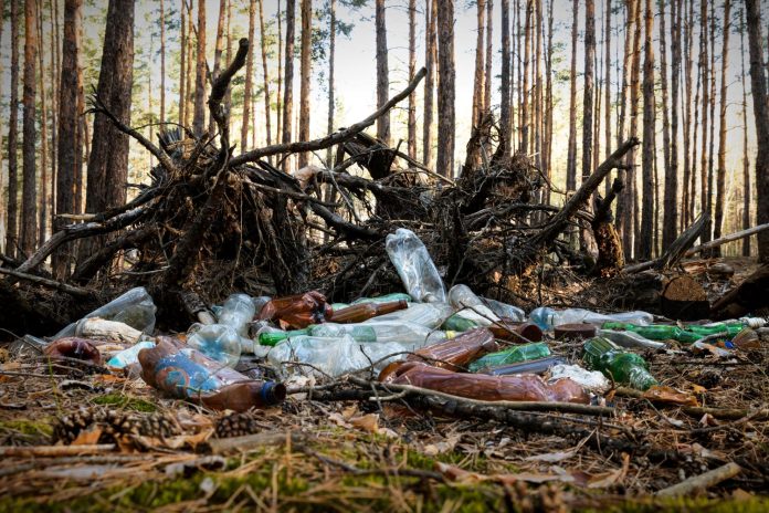 Spazzatura nel bosco