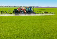 Giornata mondiale della fauna selvatica: il comunicato Fidc