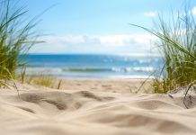 Ddl caccia: bufale… da spiaggia
