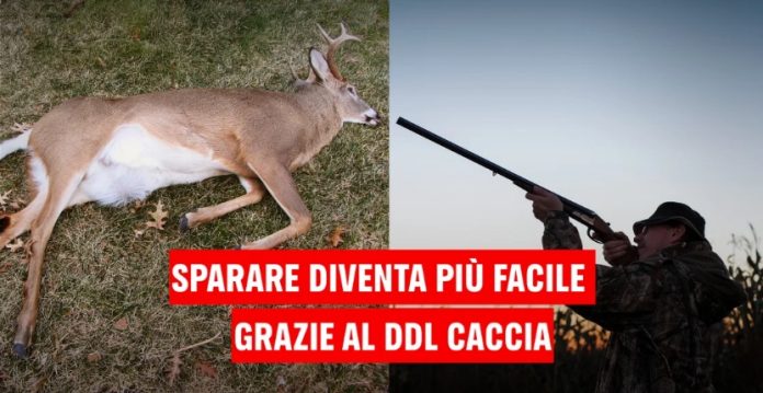 Greenpeace