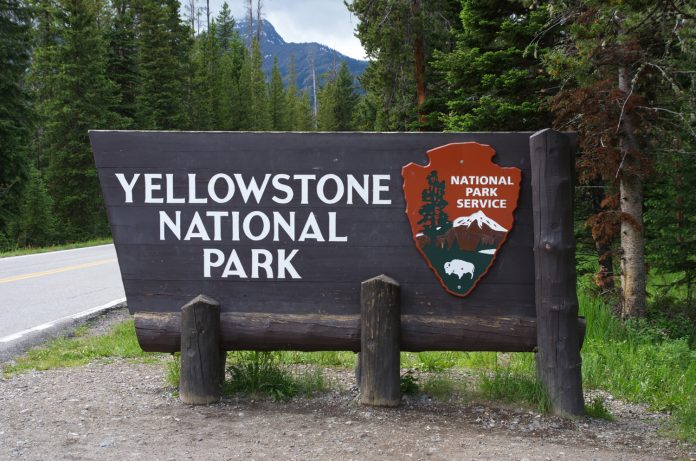 Montana,,Usa,-,June,29th,2018:,Yellowstone,National,Park,Northeast