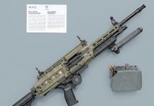 Radom Lkm, la prima Lmg polacca