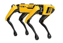 Contro il lupo, in Veneto arrivano i cani robot