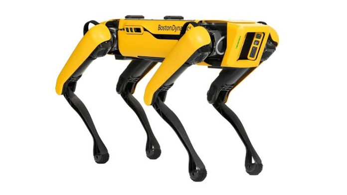 Cane robot